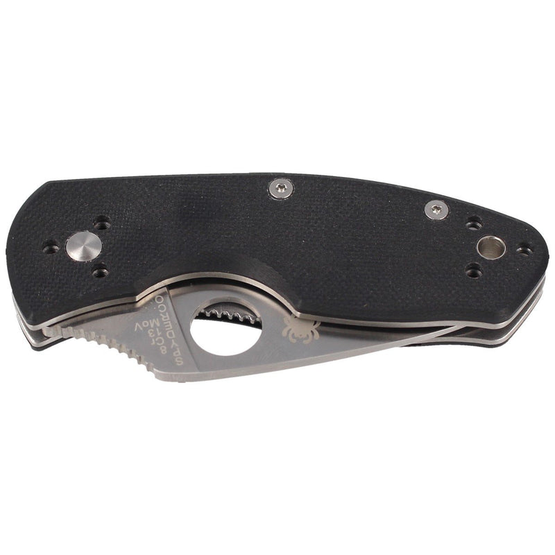 Spyderco Ambitious Folding Knife (2.31" Satin) C148GP