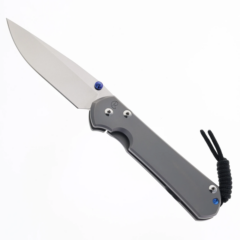 Chris Reeve Large Sebenza 31 Knife Glass Blasted Titanium (3.61", SW, MagnaCut) L31-1644