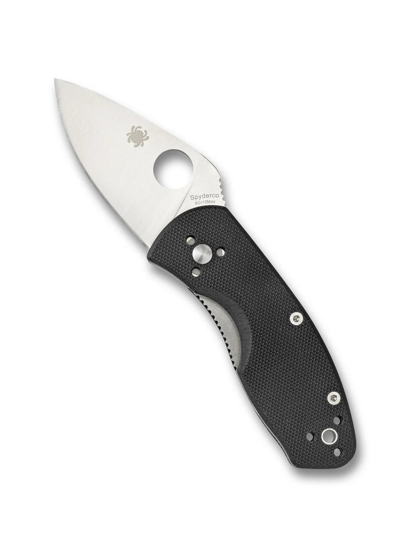 Spyderco Ambitious Folding Knife (2.31" Satin) C148GP