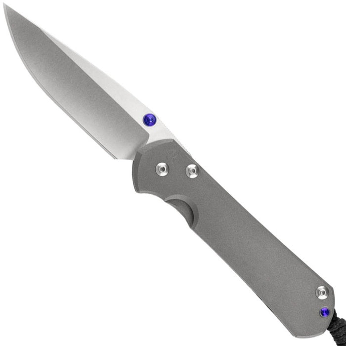Chris Reeve Large Sebenza 31 Frame Lock Knife Titanium (3.6" Stonewash) L31-1000