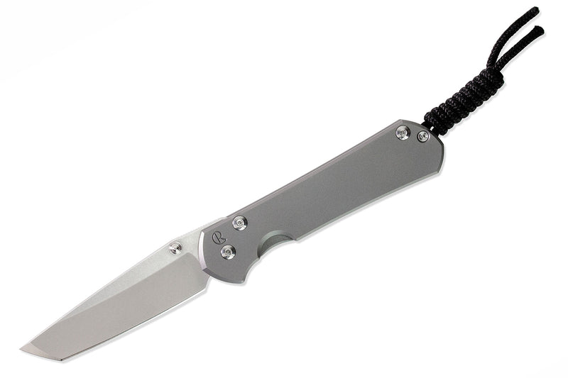 Chris Reeve Small Sebenza 31 Tanto SPRINT RUN Glass Blasted S31-1687