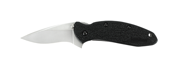 Kershaw Scallion Assisted Opening Knife Black GFN (2.25" Bead Blast) 1620